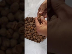 لماذا تستخدم الجوز بشكل رئيسي؟