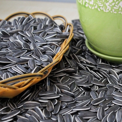 شراء بذور عباد الشمس ذات مغذيّة عالية 3668 online manufacture