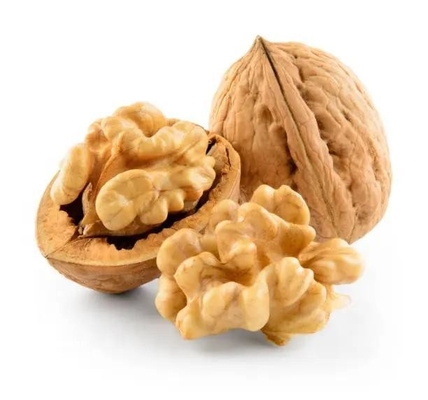 شراء الجودة العالية ورق غلاف جلد رقيق النوت 185 مع غلاف في الجملة من الصين online manufacture