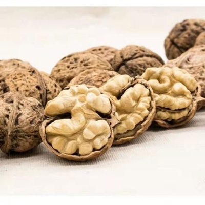 شراء أمازون بيع ساخن المصنع مباشرة شينجيانغ الجوز xin2 جوهر الجوز تصدير روسيا OEM ODM online manufacture