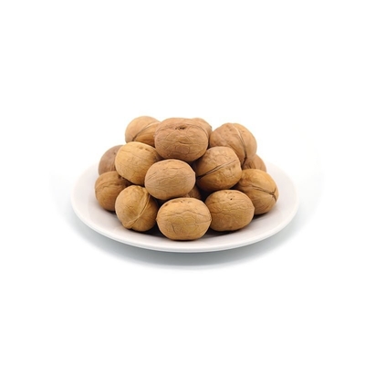 شراء مصنع بيع بالجملة بيع ساخن 185/33/xin2/xingfu الجوز في قشرة بسعر رخيص online manufacture