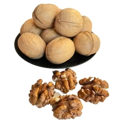 شراء مصنع بيع بالجملة 10 كجم/حقيبة خام 185/33/xin2/xingfu الجوز أفضل منتجات أمازون online manufacture