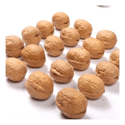 شراء الشركة المصنعة بيع بكميات كبيرة شينجيانغ 185 جوز الجوز في قشرة والجوز شين2/33 online manufacture
