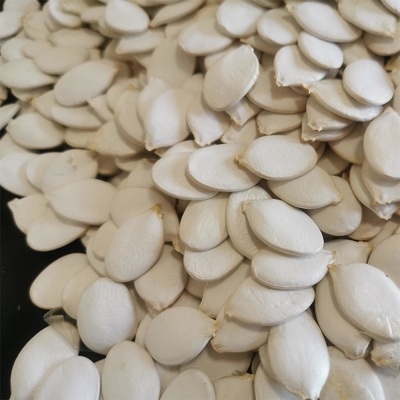 شراء بذور اليقطين البيضاء المزهرة للعملاء online manufacture
