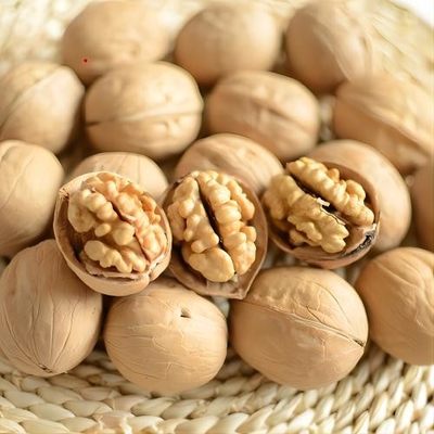 الجوز الكارباتي اللذيذ المكون المثالي لمحتوياتك
