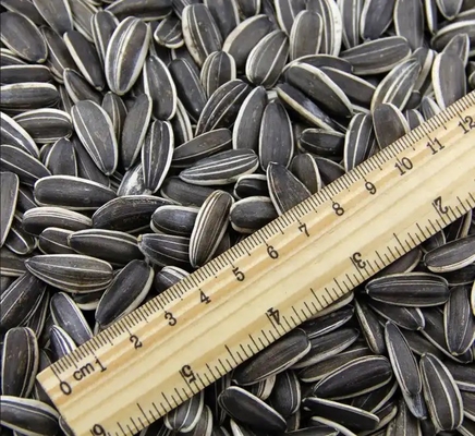 بذور عباد الشمس المنتجة حديثاً للبيع بالجملة من الصين T5 210-220 الجودة العالية الخام 20/25kg Pp كيس منسوج