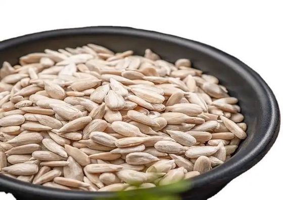 حبوب عباد الشمس النباتات العليا لبذور عباد الشمس لحاجات عملك