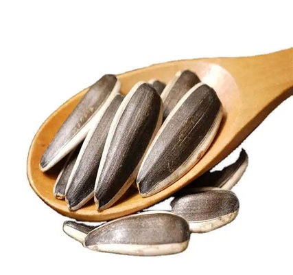 نوع الزراعة المشترك الحصاد السنة الحصادية الجديدة أشعة الشمس الحلوى البذور اللذيذة الحلوى