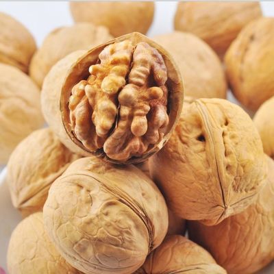 بيع بالجملة جوز شينجيانغ xin2 عالية الجودة المصدرة إلى جنوب شرق آسيا OEM ODM منتجات أمازون