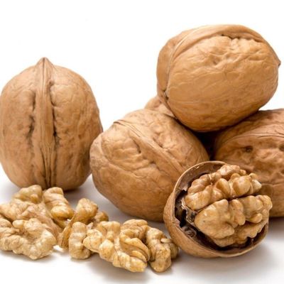 خصم خاص أرخص سعر لحاء الجوز شينجيانغ المصنع الورق الجوز xin33