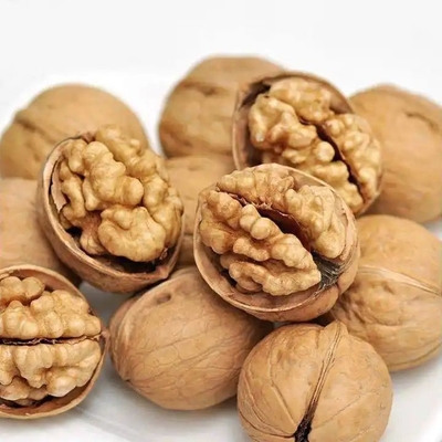 قم بتحديث خط منتجاتك باستخدام Walnut Kernel Xin 2