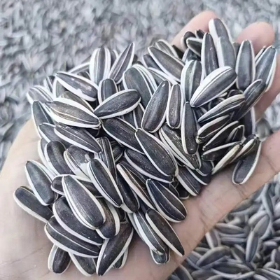الاسم