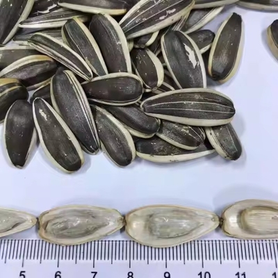الاسم