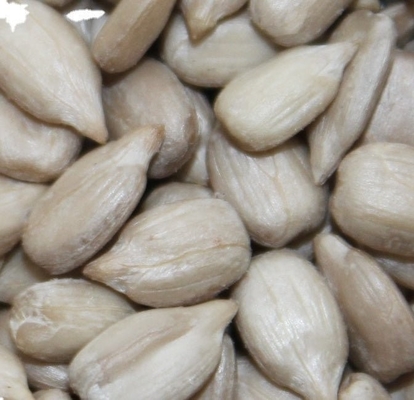 الاسم
