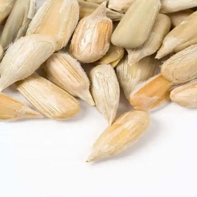 الاسم