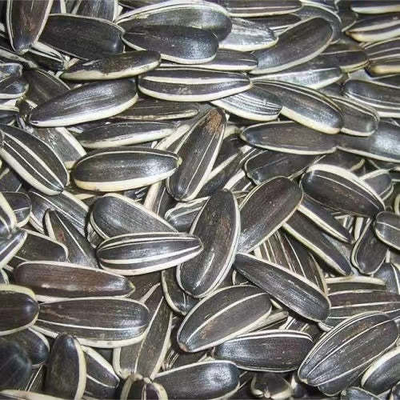 الاسم