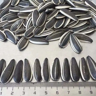 الاسم