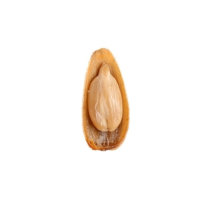الاسم