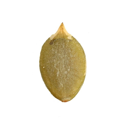 الاسم