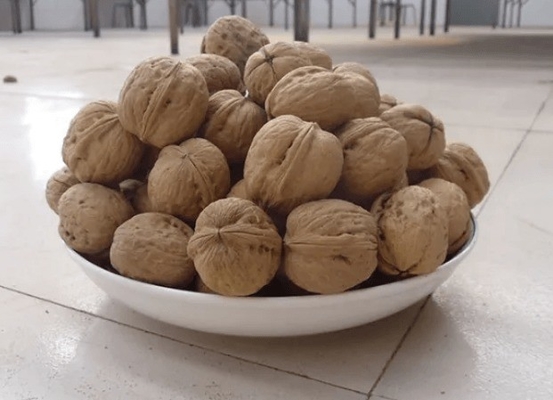 الاسم