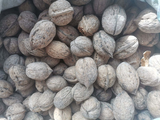الاسم